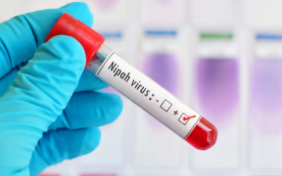 നിപ: സമ്പര്‍ക്ക പട്ടികയില്‍ 609 പേര്‍, 38 പേര്‍ ഹൈയസ്റ്റ് റിസ്‌ക് വിഭാഗത്തില്‍, അഞ്ച് പേര്‍ ഐസൊലേഷനില്‍