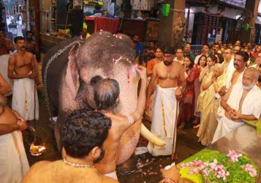 പത്തു ലക്ഷം രൂപ ദേവസ്വത്തില്‍ അടച്ചു; ഗുരുവായൂരില്‍ പ്രതീകാത്മകമായി ആനയെ നടയിരുത്തി