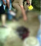 കാട്ടുപന്നിക്കു വച്ച കെണിയില്‍ പെട്ട് യുവാക്കള്‍ മരിച്ചു; മൃതദേഹങ്ങള്‍ കണ്ട പരിഭ്രാന്തിയില്‍ കുഴിച്ചിട്ടു