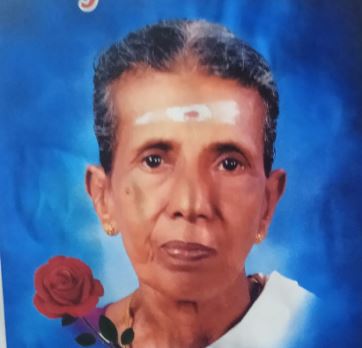സരോജിനി അമ്മ (76) അന്തരിച്ചു