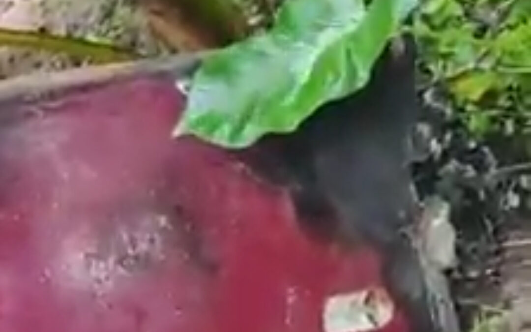 ഫ്രിഡ്ജ് പൊട്ടിത്തെറിച്ച് അപകടം; നാട്ടുകാരും ഫയർഫോഴ്സും സ്ഥലത്തെത്തി തീയണച്ചു