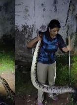 തിരുവനന്തപുരത്തെ മലയോര മേഖലയിൽ പെരുമ്പാമ്പ് ശല്യം രൂക്ഷം