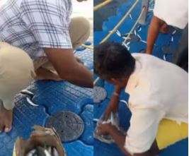 ചാവക്കാട്ടെ ഫ്ളോട്ടിങ് ബ്രിഡ്ജിൽ വീണ്ടും ചാകര