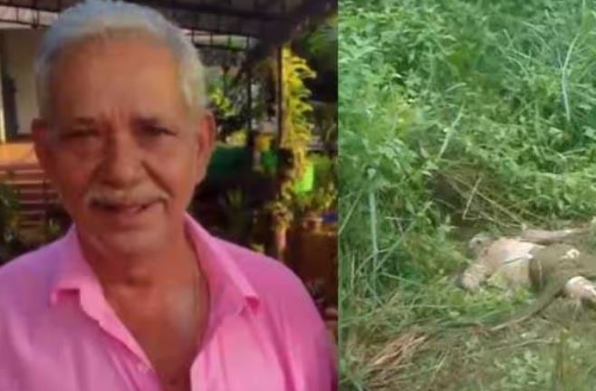 ജോസിന്റെ മരണം കാട്ടാനയുടെ ചവിട്ടേറ്റ്; സ്ഥികരിച്ച് വനം വകുപ്പ്