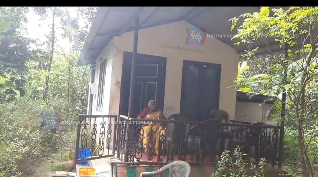 ഒറ്റയ്ക്ക് താമസിക്കുന്ന വയോധികയുടെ വീട്ടിൽ പട്ടാപ്പകൽ മോഷണം