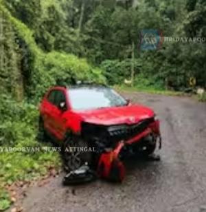 പൊന്മുടി ഏഴാം വളവിൽ കാർ താഴ്ചയിലേക്ക് വീണു
