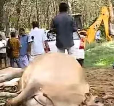 ‘ആ വേദന എനിക്കും അറിയാം’; കുട്ടിക്കര്‍ഷകര്‍ക്ക് ജയറാമിന്റെ കൈത്താങ്ങ്; അഞ്ച് ലക്ഷം രൂപ നല്‍കും