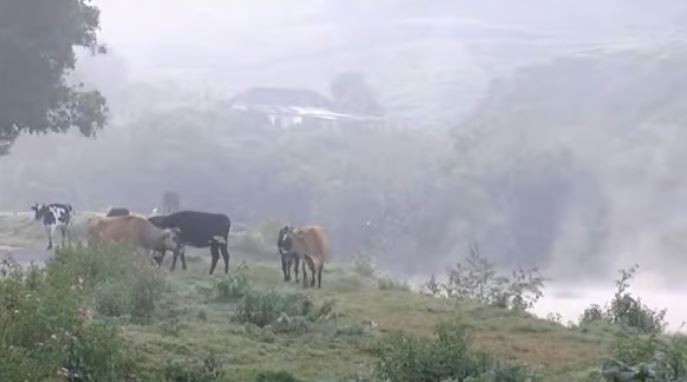 മഞ്ഞില്‍ കുളിച്ച് മൂന്നാര്‍; അതിശൈത്യം; താപനില പൂജ്യത്തിന് താഴെ