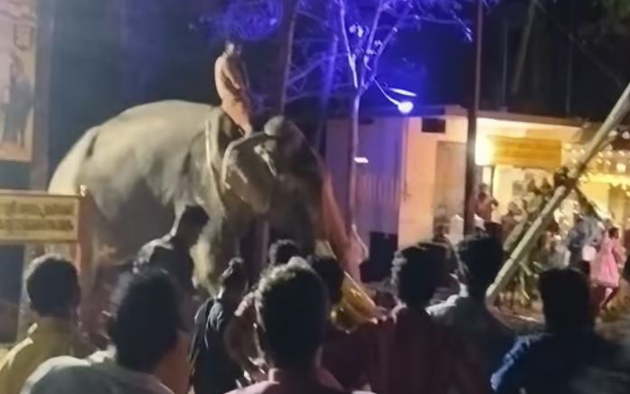 കൊടുങ്ങല്ലൂരില്‍ ആനയിടഞ്ഞു; ഉത്സവ പന്തല്‍ കുത്തിമറിച്ചിട്ടു