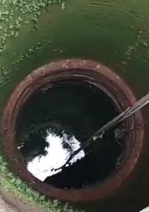 ഗവ.സ്കൂളിലെ കിണറ്റിൽ പാമ്പുകളെ കണ്ടെത്തി; രക്ഷിതാക്കളുടെ പ്രതിഷേധം