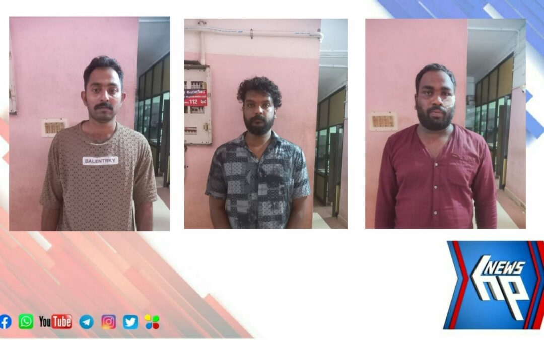 പോലീസ് ഉദ്യോഗസ്ഥരെ മുളകുപൊടി എറിഞ്ഞു ദേഹോപദ്രവം ഏൽപ്പിച്ച  പ്രതികൾ അറസ്റ്റിൽ