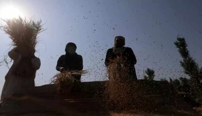 ‘സംസ്ഥാനത്ത് ഉത്സവകാലത്ത് അരി വില കൂടും’; മന്ത്രി ജിആർ അനിൽ