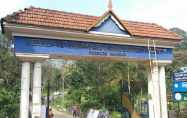 വയനാട് വെറ്റിനറി കോളജ് വിദ്യാർത്ഥിയുടെ ആത്മഹത്യ; 12 വിദ്യാർത്ഥികൾക്ക് സസ്പെൻഷൻ