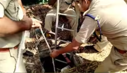 കാര്യവട്ടത്തെ അസ്ഥികൂടം തലശേരി സ്വദേശിയുടേത്?, ഡ്രൈവിങ് ലൈസന്‍സ് കേന്ദ്രീകരിച്ച് അന്വേഷണം