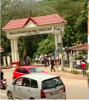 ക്യാമ്പസുകളില്‍ എസ്എഫ്‌ഐ ക്രിമിനലുകള്‍ അഴിഞ്ഞാടുകയാണെന്ന് പ്രതിപക്ഷ നേതാവ് വിഡി സതീശന്‍