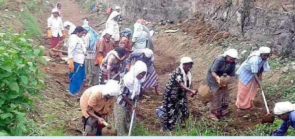 ആറുശതമാനം വരെ വര്‍ധനയ്ക്ക് സാധ്യത; തൊഴിലുറപ്പ് കൂലി വര്‍ധിപ്പിക്കാന്‍ കേന്ദ്രം, തെരഞ്ഞെടുപ്പ് കമ്മീഷന്റെ അനുമതി