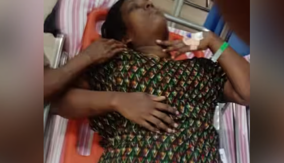 കോഴിക്കോട് വീണ്ടും കാട്ടുപന്നി ആക്രമണം; പറമ്പില്‍ വിറക് ശേഖരിക്കുന്നതിനിടെ വീട്ടമ്മയെ കുത്തി, ഗുരുതര പരിക്ക്