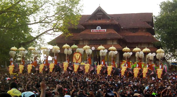 ’50 മീറ്റര്‍ പരിധിയില്‍ ആളുകള്‍ പാടില്ല’; നാട്ടാന ചട്ടത്തിലെ വിവാദ ഉത്തരവ് വനംവകുപ്പ് തിരുത്തി
