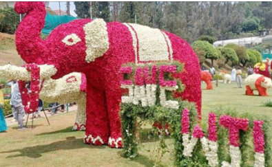 പത്ത് ദിവസം നീണ്ടു നിൽക്കുന്ന ഊട്ടി പുഷ്പ മേളയ്‌ക്ക് തുടക്കമായി