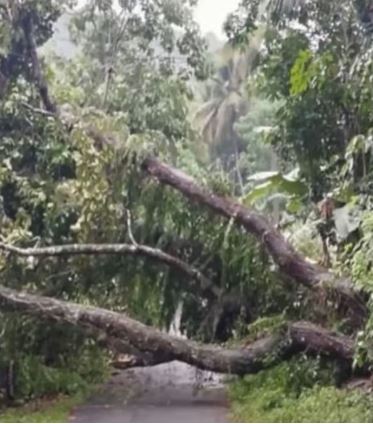 വ്യാപക നാശം വിതച്ച് പെരുമഴ; ഒരു മരണം; പലയിടത്തും ഗതാഗതക്കുരുക്ക്; കരിപ്പൂരില്‍ വിമാനങ്ങള്‍ വൈകുന്നു
