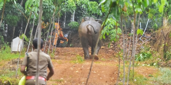 വന്യജീവി സംഘര്‍ഷം കുറയ്ക്കാന്‍ നടപടി; സംസ്ഥാനത്ത് 9 റാപ്പിഡ് റെസ്‌പോണ്‍സ് ടീമുകള്‍