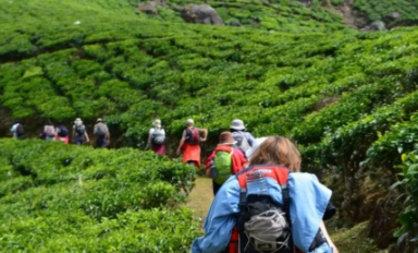 സഞ്ചാരികളുടെ തിരക്കില്‍ ശ്വാസംമുട്ടി മൂന്നാര്‍