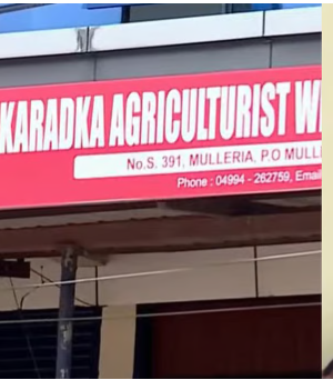 അംഗങ്ങളുടെ പേരില്‍ 4.76 കോടിയുടെ സ്വര്‍ണ വായ്പ; സഹകരണ സംഘം സെക്രട്ടറിക്കെതിരെ കേസ്