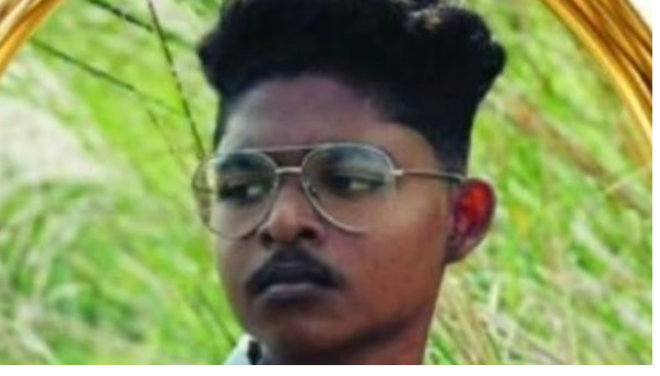 കടന്നല്‍ കുത്തേറ്റ് പ്ലസ് ടു വിദ്യാര്‍ഥി മരിച്ചു