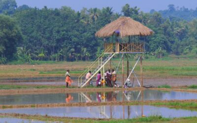 പാടശേഖരസമിതിയും സൗഹൃദ സംഘവും സംയുക്തമായി സൗജന്യ പരിശീലന ക്ലാസ് സംഘടിപ്പിക്കുന്നു