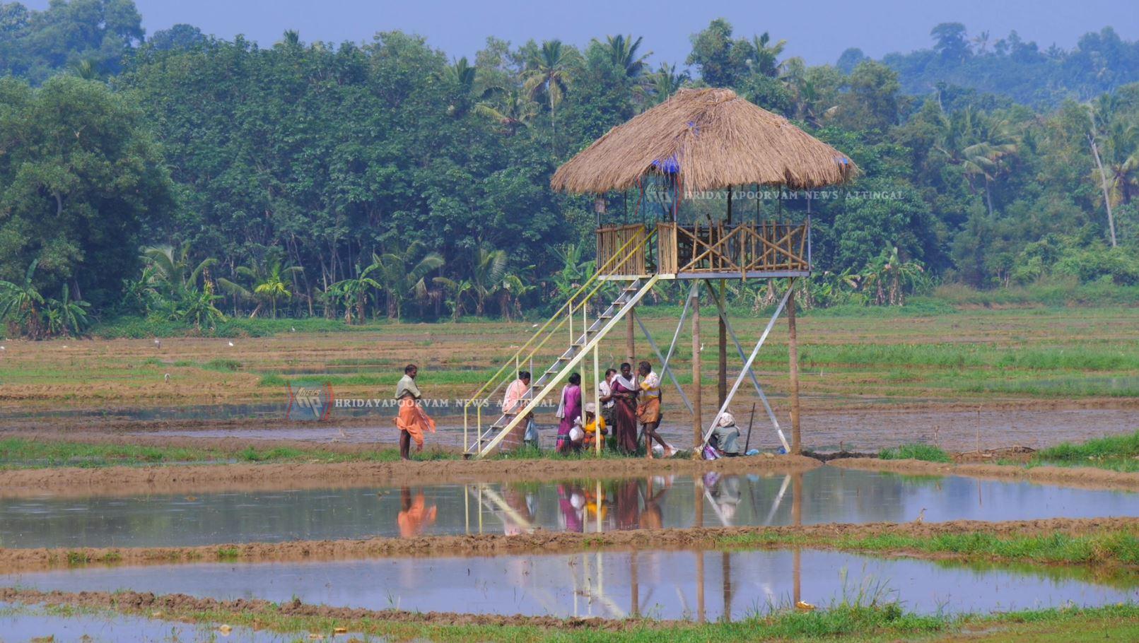 pirappaman kadu