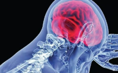 ആലപ്പുഴയില് 10 വയസ്സുകാരന് അമീബിക് മസ്തിഷ്ക ജ്വരം