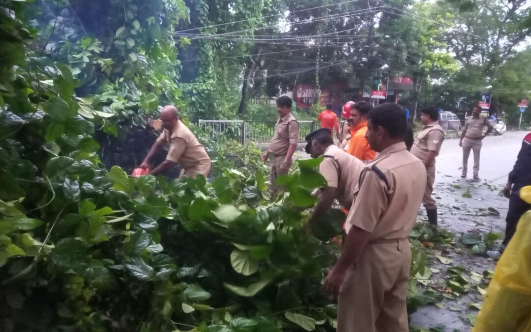 ആറ്റിങ്ങല്‍ പൂവമ്പാറയില്‍ ദേശീയപാതയ്ക്ക് കുറുകേ മരം വീണു ഒരുമണിക്കൂറോളം ഗതാഗതം മുടങ്ങി