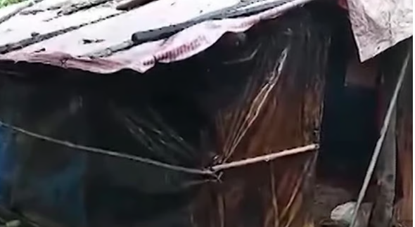 മാങ്കുളത്ത് വയോധികന്റെ മൃതദേഹം കത്തിക്കരിഞ്ഞ നിലയില്‍; കൊലപാതകമെന്ന് സംശയം