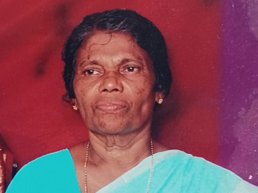 മാതൃഭൂമി ലേഖകൻ ബിനുവേലായുധന്റെ മാതാവ് അന്തരിച്ചു