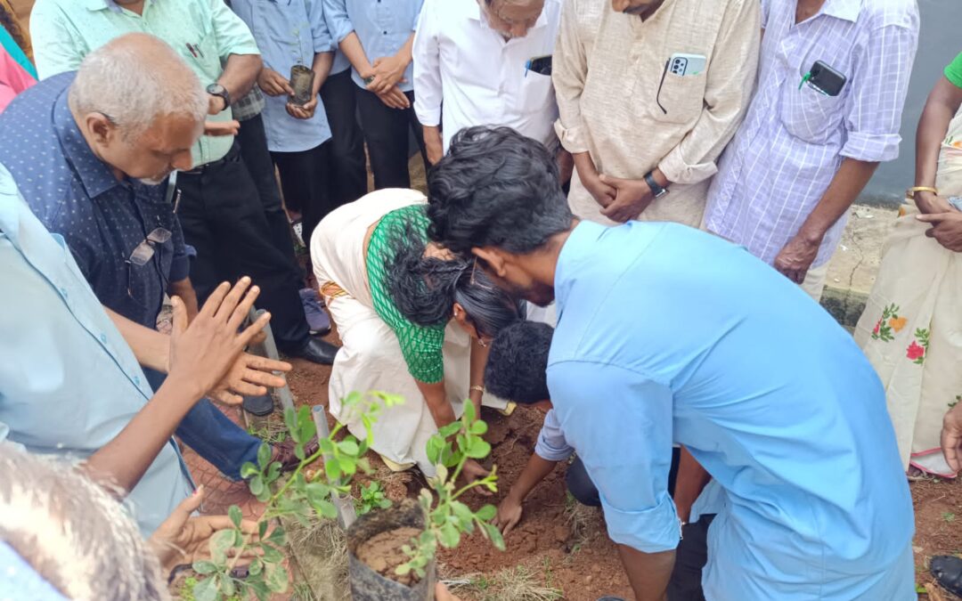 സമാധാന ക്യാമ്പയിനും പരിസ്ഥിതി ദിനാചരണംവും സംഘടിപ്പിച്ചു