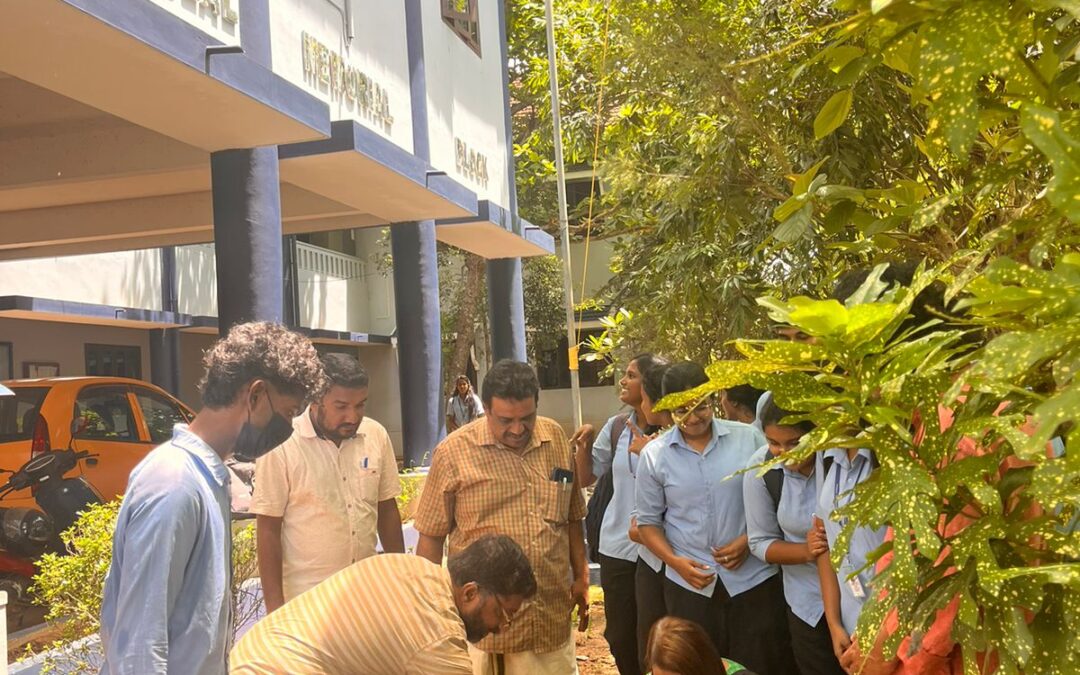 ആറ്റിങ്ങൽ ഐ എച്ച് ആർ ഡി എഞ്ചിനീയറിംഗ് കോളേജിൽ പരിസ്ഥിതി ദിനം ആഘോഷിച്ചു