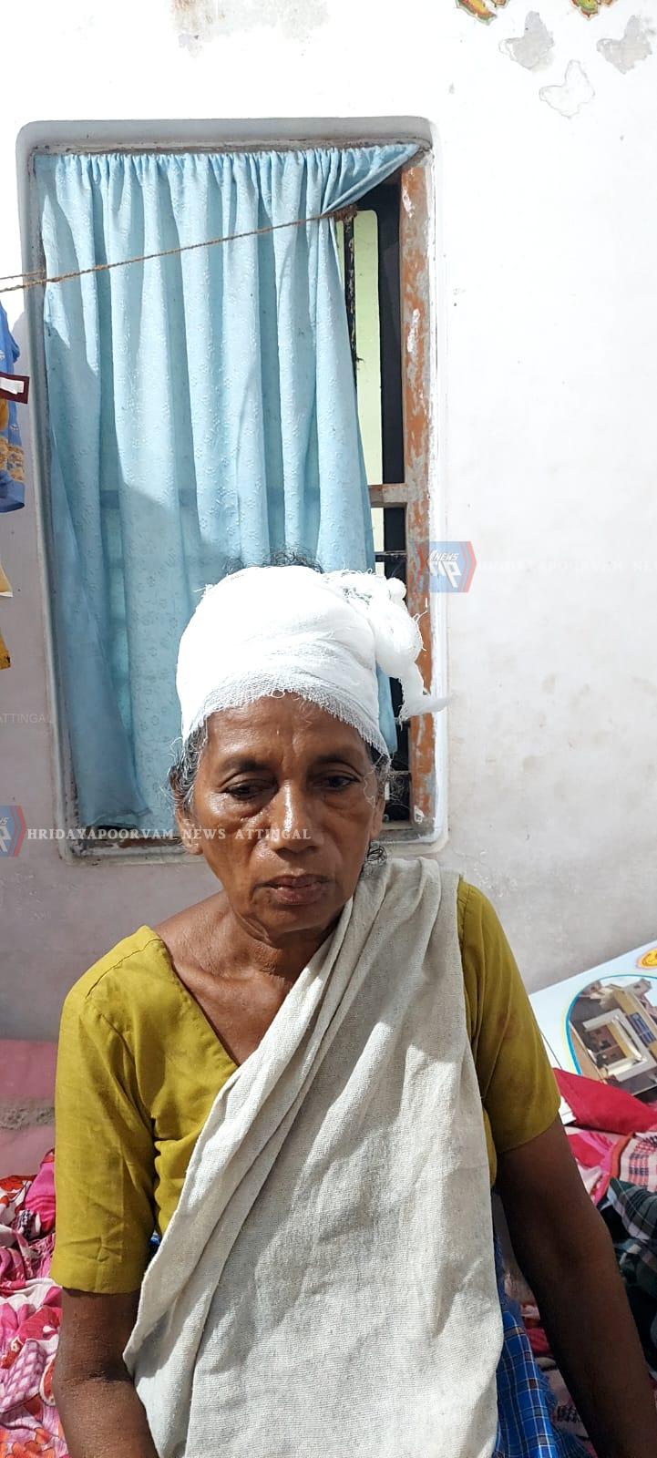 WhatsApp Image 2024-06-25 at 2.06.55 PM