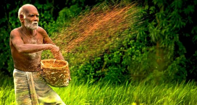 കര്‍ഷകര്‍ക്കുള്ള ധനസഹായ വിതരണം; എയിംസ് പോര്‍ട്ടല്‍ ലോഗിന്‍ ചെയ്യാന്‍ ഇനി മൊബൈല്‍ ഒടിപി നിര്‍ബന്ധം