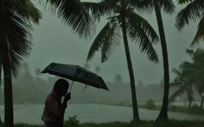 വരും മണിക്കൂറിൽ ഈ ജില്ലകളിൽ മഴ; ശക്തമായ കാറ്റ്