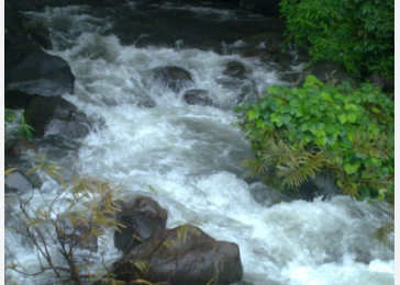 വെള്ളച്ചാട്ടത്തിൽ ഏഴംഗ കുടുംബം ഒലിച്ചുപോയി; 4 പേർ മരിച്ചു