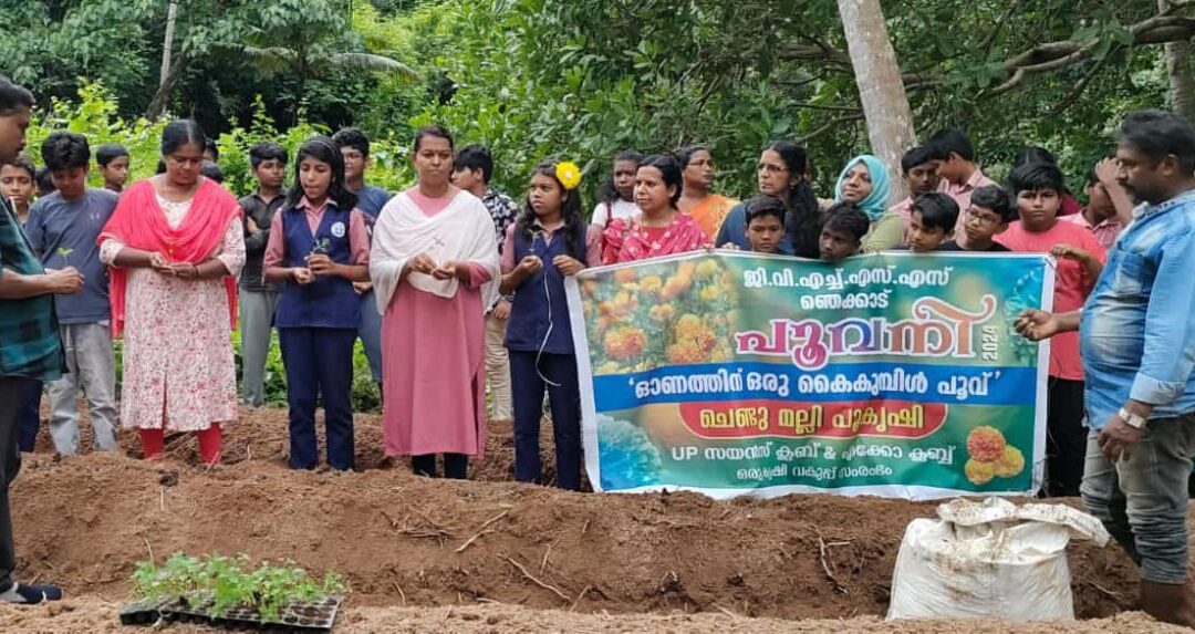 ഞെക്കാട് സ്കൂളിൽ “പൂവനി” പദ്ധതിയുടെ ഭാഗമായി ചെണ്ടുമല്ലി പൂകൃഷി ആരംഭിച്ചു
