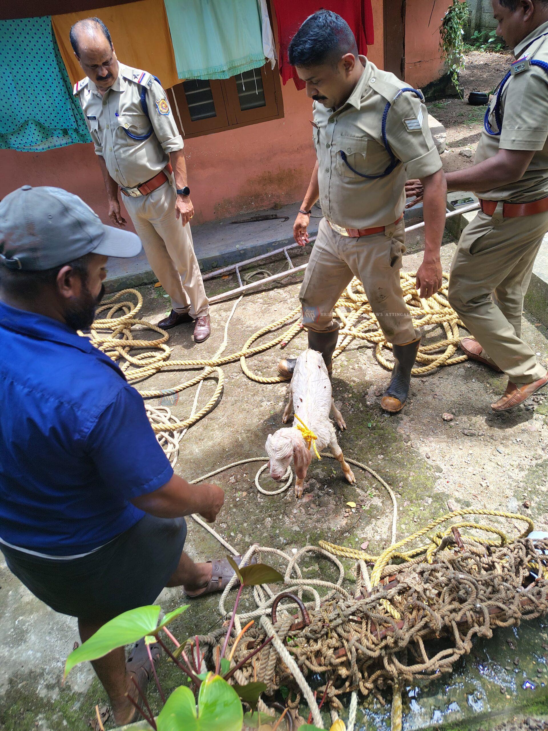 WhatsApp Image 2024-07-11 at 5.35.49 PM