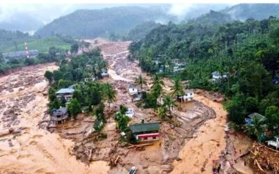 വയനാട് പുനരധിവാസം: ചീഫ് സെക്രട്ടറിയുടെ നേതൃത്വത്തില്‍ പ്രത്യേക കമ്മിറ്റി