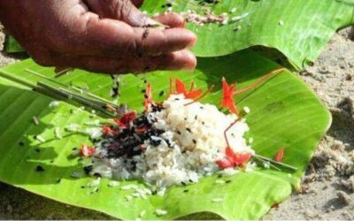 കർക്കടക വാവ് പ്രമാണിച്ചു വർക്കല നഗരത്തിൽ 23ന് വൈകിട്ട് മുതൽ 24ന് ഉച്ചവരെ ഗതാഗത ക്രമീകരണം..