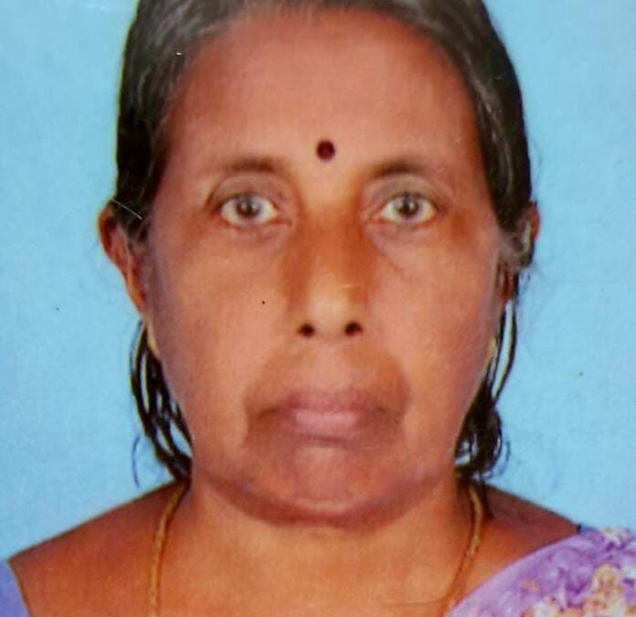 ബൈക്ക് ഇടിച്ച് പരിക്കേറ്റ് ചികിത്സയിലിരുന്ന വീട്ടമ്മ മരിച്ചു