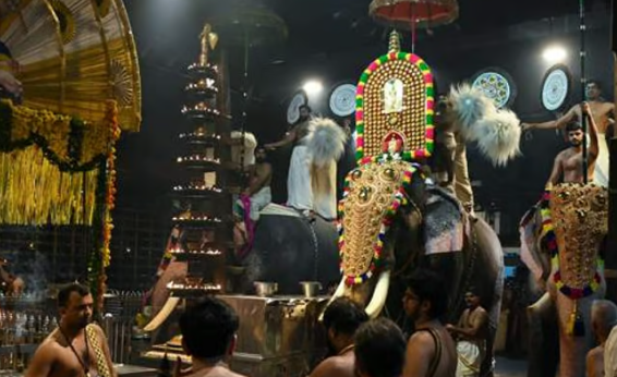 ഉദ്ഘാടനത്തിനും സ്വകാര്യ ചടങ്ങിനും ആന വേണ്ട; റിപ്പോര്‍ട്ട് ഹൈക്കോടതിയില്‍