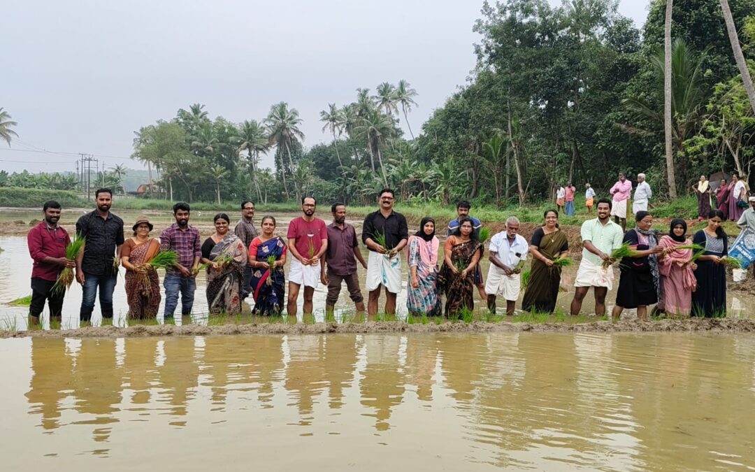ഇടയ്‌ക്കോട് പാടശേഖരത്തിൽ ഞാറ് നടീൽ ഉദ്ഘാടനം നടന്നു