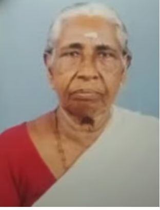വയോധികയെ തെരുവുനായ കടിച്ചു കൊന്നു