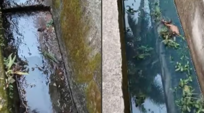 എച്ച്പിസിഎൽ ഇന്ധന ചോർച്ച; ഇന്ന് സംയുക്ത പരിശോധന
