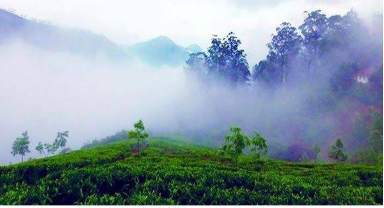 മൂന്നാറില്‍ താപനില പത്തുഡിഗ്രിയില്‍ താഴെ; സഞ്ചാരികളുടെ ഒഴുക്ക്
